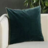 Coupon 😍 Carson Carrington Odelas Solid Throw Pillow 🧨 -Carson Carrington Sales unnamed file 1637