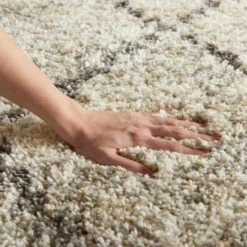 Top 10 😀 Carson Carrington Hjaltaryd Trellis Shag Area Rug Ivory/grey ⌛ -Carson Carrington Sales unnamed file 1746