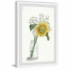 Cheapest ✔️ Carson Carrington Handmade Sunflower In Glass Vase Framed Print 💯 -Carson Carrington Sales unnamed file 9077